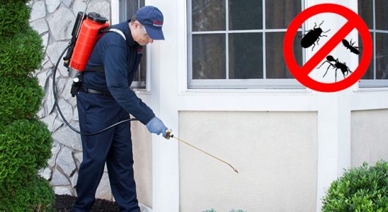 Bilecik Dezenfeksiyon böcek ilaçlama ve haşere kontrolü — ilaclama-tr.com